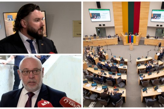 Ministrų kabineto delionė: pasisakė ir vieni iš galimų kandidatų
