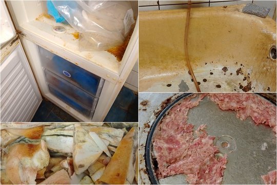 Bloga vien nuo vaizdo: mėsos perdirbimo įmonėje – negyva pelė, musės ir suplėkę šaldytuvai