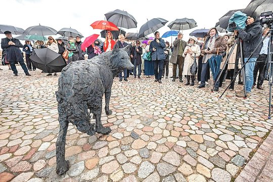 Dovana Vilniui suskaldė miestą: pabrukusi uodega tapo didesne problema nei pats vilkas