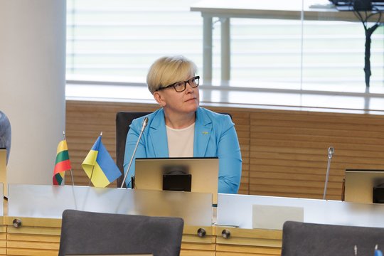 Seimo NSGK pritarė V. Valentinavičiaus kandidatūrai į žvalgybos kontrolierius: susilaikė I. Šimonytė ir V. Sinica