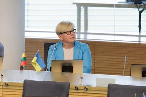 Seimo NSGK pritarė V. Valentinavičiaus kandidatūrai į žvalgybos kontrolierius: susilaikė I. Šimonytė ir V. Sinica