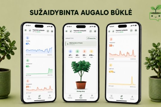 Vazonas, kuris išduos, kada augalas kenčia: KTU studentai kuria išmanią priežiūros sistemą