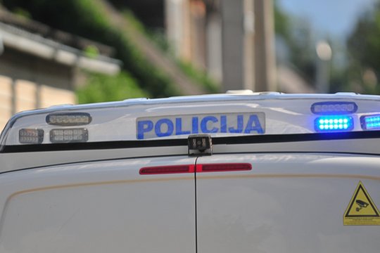 Pakruojo rajone rastas ginklas ir 22 šoviniai