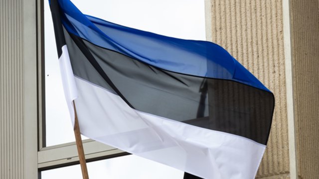 Estija ruošiasi galimoms grėsmėms: pasienyje įrengta nauja įtvirtinimų linija