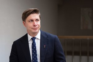 Vyriausybės dėlionę stebinti politologė: tai, ką matome paskutinėmis dienomis, truputėlį kelia nerimą