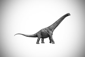 Pirmasis Antarktidoje rastas dinozauro kaulas aptiktas stalčiuje