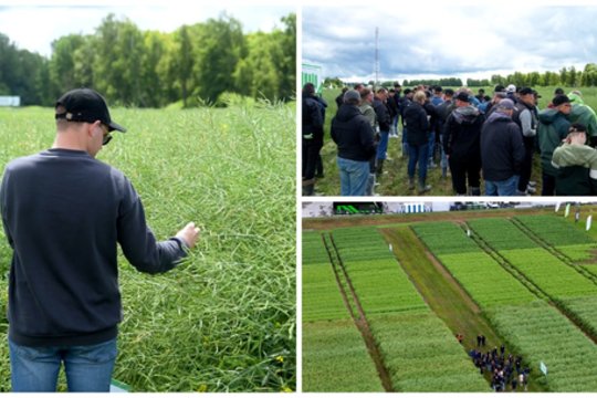Brangiai kainuojančių klaidų ūkyje galima išvengti: kodėl ūkininkai renkasi lauko dienas?