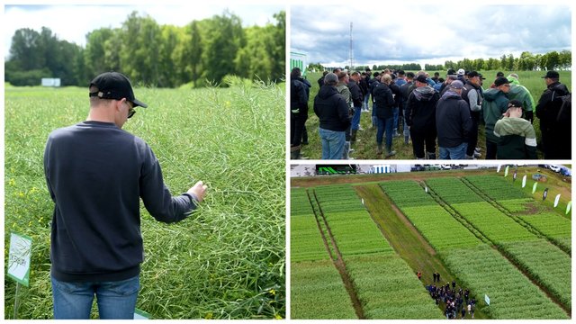 Brangiai kainuojančių klaidų ūkyje galima išvengti: kodėl ūkininkai renkasi lauko dienas?