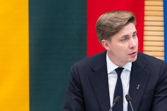 M. Sinkevičiaus „skeletai spintoje“: faktai ar politinė kova?