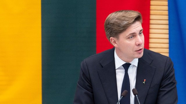 M. Sinkevičiaus „skeletai spintoje“: faktai ar politinė kova?