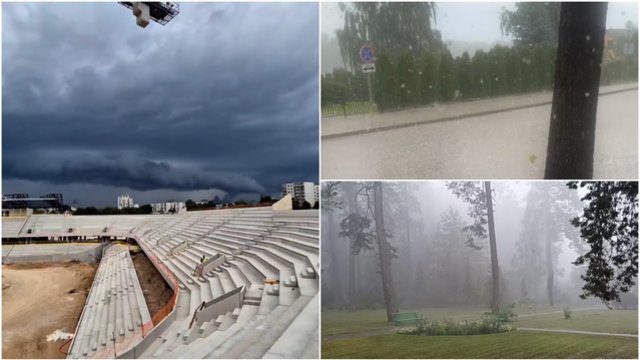 Į Lietuvą atkeliavo liūtys – gyventojai dalinasi vaizdais, paaiškėjo, kam klius stipriausiai