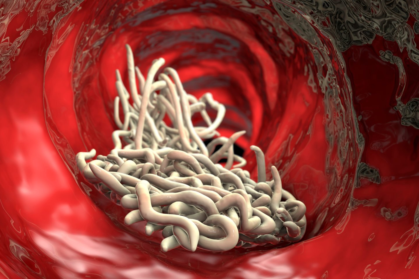 Parazitai<br>Asociatyvi 123rf iliustr.