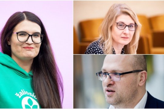 Ar S. Skvernelis, I. Šimonytė ir G. Paluckas kalti dėl tropinių Lietuvos karščių?