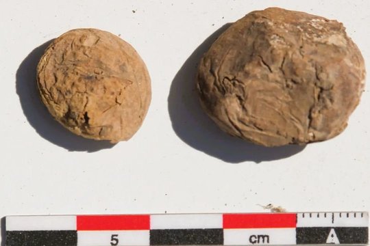Maistas, maitinęs imperiją: archeologai aptiko itin retą inkų radinį