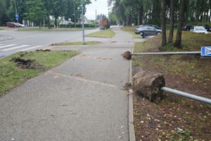 Neregėtas vandalizmo atvejis: po nakties gatvėje – pribloškiantis vaizdas
