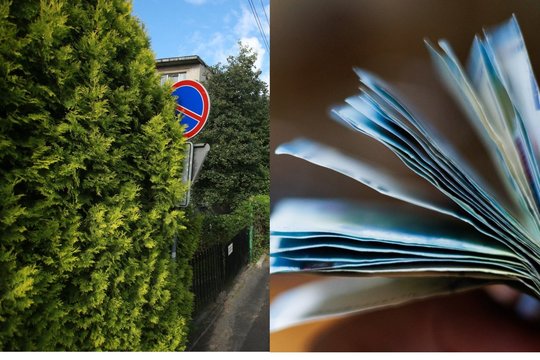 Krūmais apžėlusio ženklo neišvydęs vilnietis užsidirbo baudą: štai ką paaiškino apie pareigūnų elgesį