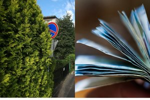 Krūmais apžėlusio ženklo neišvydęs vilnietis užsidirbo baudą: štai ką paaiškino apie pareigūnų elgesį