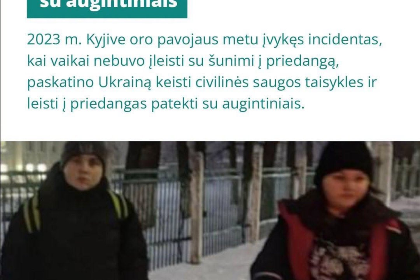 Žmonės su gyvūnais į priedangą gali būti neįleisti: kodėl tai būtina keisti.<br> GGI nuotr.