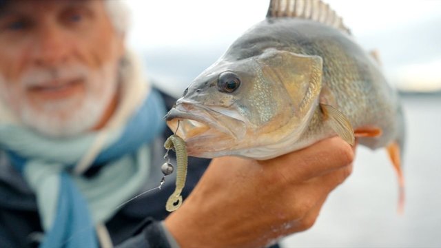 „Šiandien kimba“. Ešerių žvejyba mikrodžigu pranoko lūkesčius