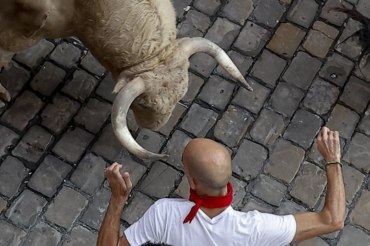 Per pirmąjį bulių bėgimą Pamplonoje sužeisti penki bėgikai