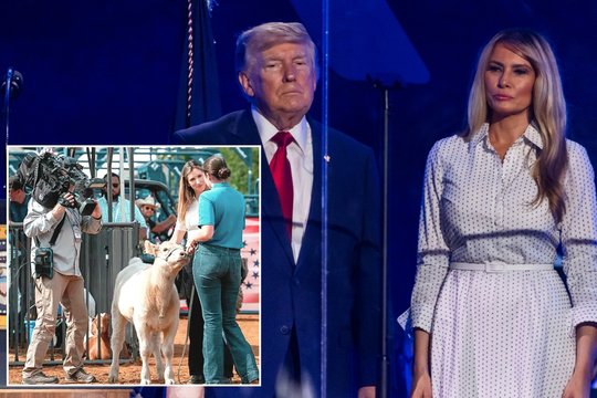 Per D. Trumpo renginį – netikėtas akibrokštas Melaniai Trump: jos vardą gavo karvė