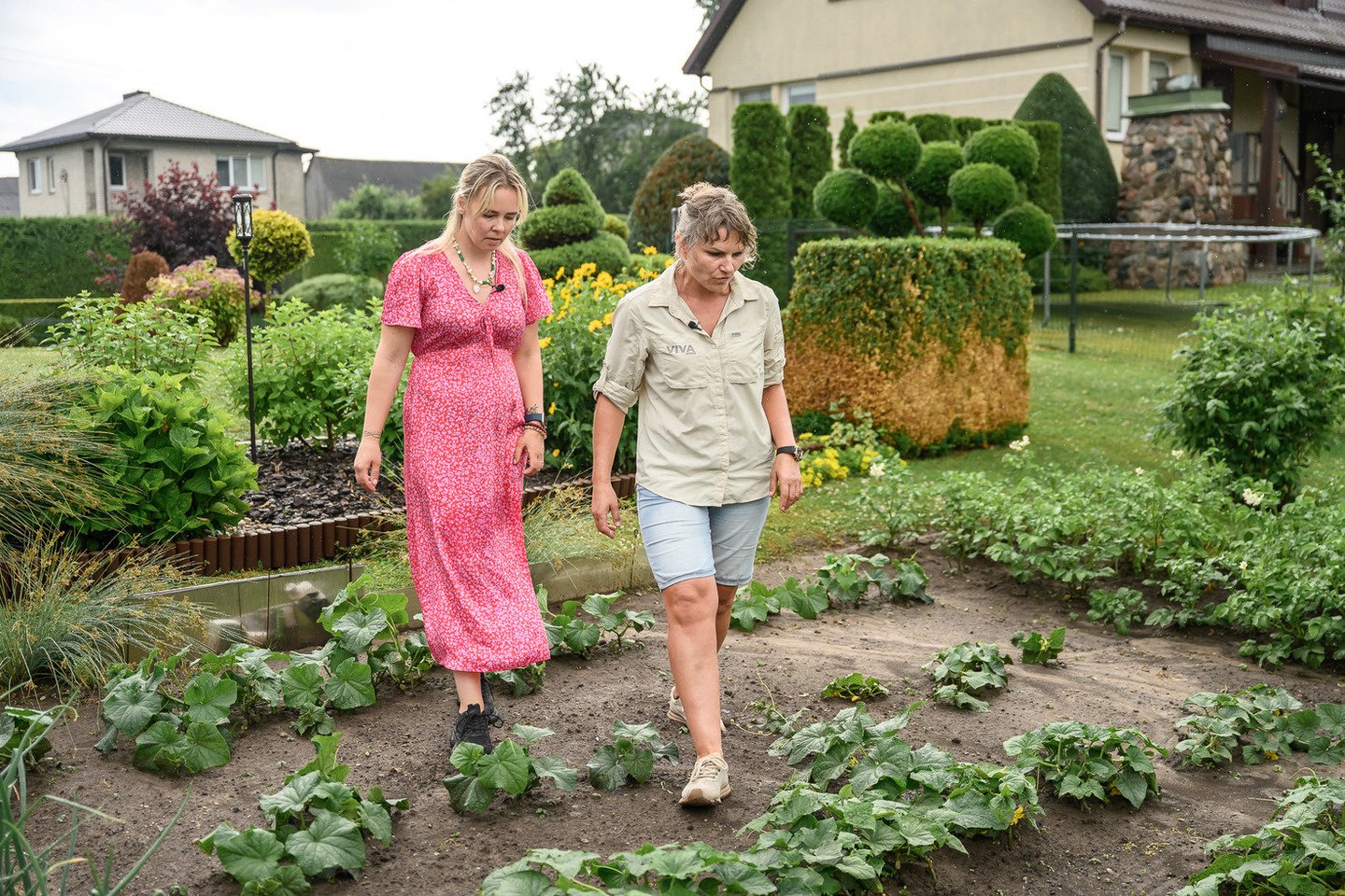 Laidos vedėja Kamilė Lymontienė ir „Viva Fertlis“ agronomė konsultantė Loreta Aleknavičienė.<br> Laidos „Sodas ir daržas“ nuotr.