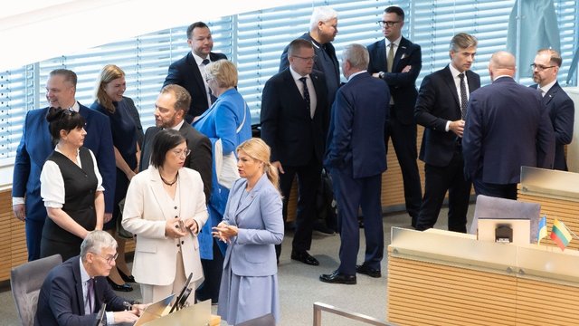 Ekonomistė Vyriausybės programoje mato daug klausimų: išlaidos finansuojamos skolos dėka