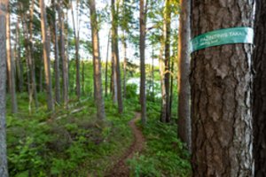 Pastebi naujas lietuvių poilsio tendencijas: mano, kad ateityje toks keliavimas dar labiau populiarės