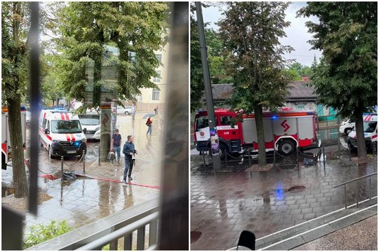 Į Kauno paveikslų galeriją lėkė gausios pajėgos