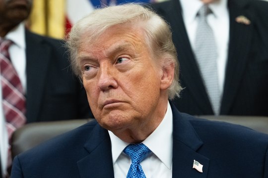 JAV žiniasklaida: D. Trumpas prieš vidurio kadencijos rinkimus atleido rinkimų komisijos narius