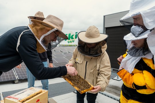 Aviliai ant „Iki“ parduotuvių stogų: ekspertai paaiškino, kodėl bitininkystei tinka ir miestas