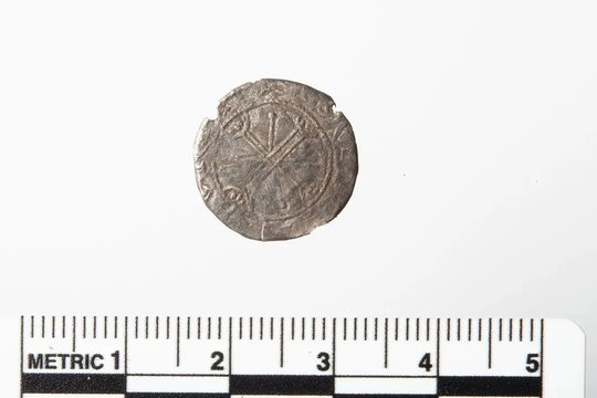 Manė, kad paprasta saga – bet iš tiesų rado neįkainojamą vikingų karaliaus reliktą