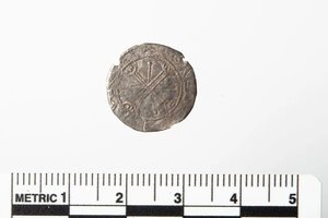 Manė, kad paprasta saga – bet iš tiesų rado neįkainojamą vikingų karaliaus reliktą