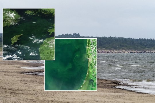 Baltijos jūroje – net iš palydovų matomi žali sūkuriai