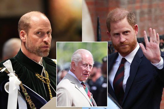 Karolio III susitikimas su Harry šeima gali brangiai kainuoti: įspėja dėl princo Williamo