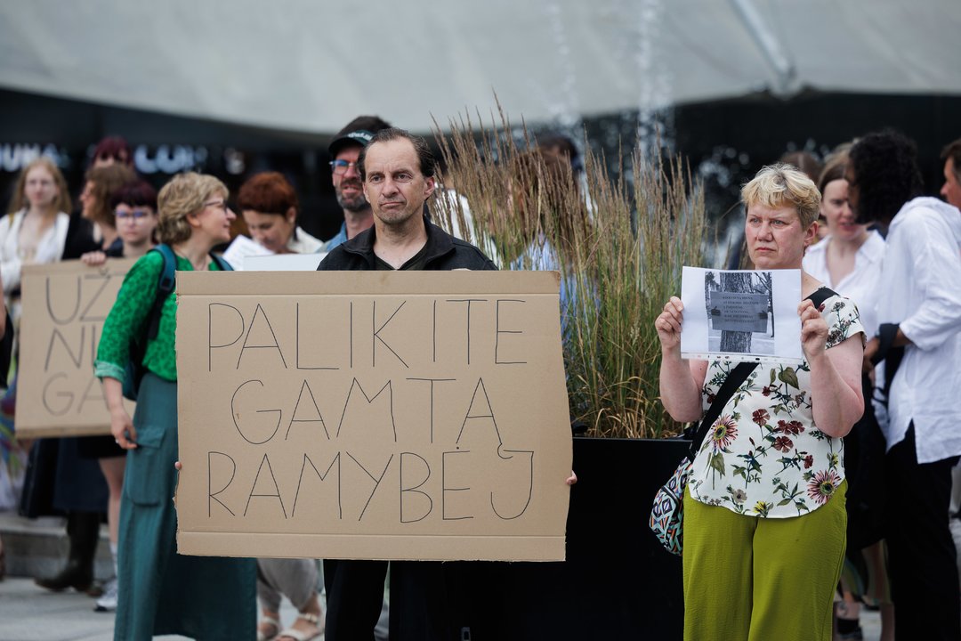 Vilniaus savivaldybė ramina aktyvistus: iškirstus medžius žada atsodinti