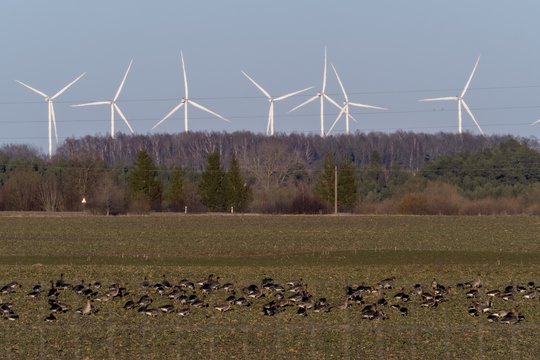 Ministerija: energetikos bendrijas jau įsteigė keturiolika savivaldybių