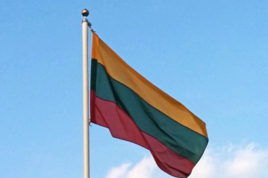 Siekiama 10 kartų padidinti baudas už per šventes neiškeltą valstybės vėliavą