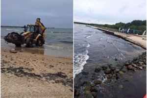 Palangos meras pasidalino, kas vyksta pajūryje: to kurorte seniai neteko matyti