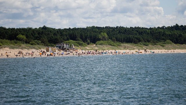 Tyrimus atlikę mokslininkai: žuvų Baltijos jūros pakrantėje tik mažės