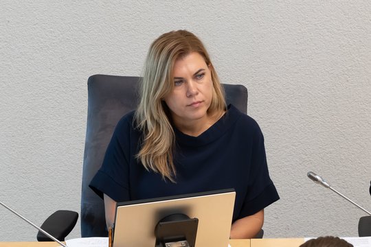 Paskirtoji aplinkos ministrė neatmeta mokesčio taršiems automobiliams, bet sako – tai jautrus klausimas
