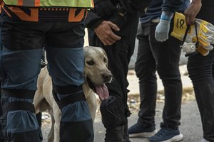 Iš Venesuelos sugrįžta Lietuvos gelbėtojų komanda