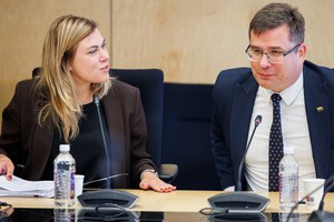 Iki šiol dėmesio vengusi I. Andriulaitytė prisistatė Seime: būsimai ministrei – liberalų ir konservatorių egzaminas