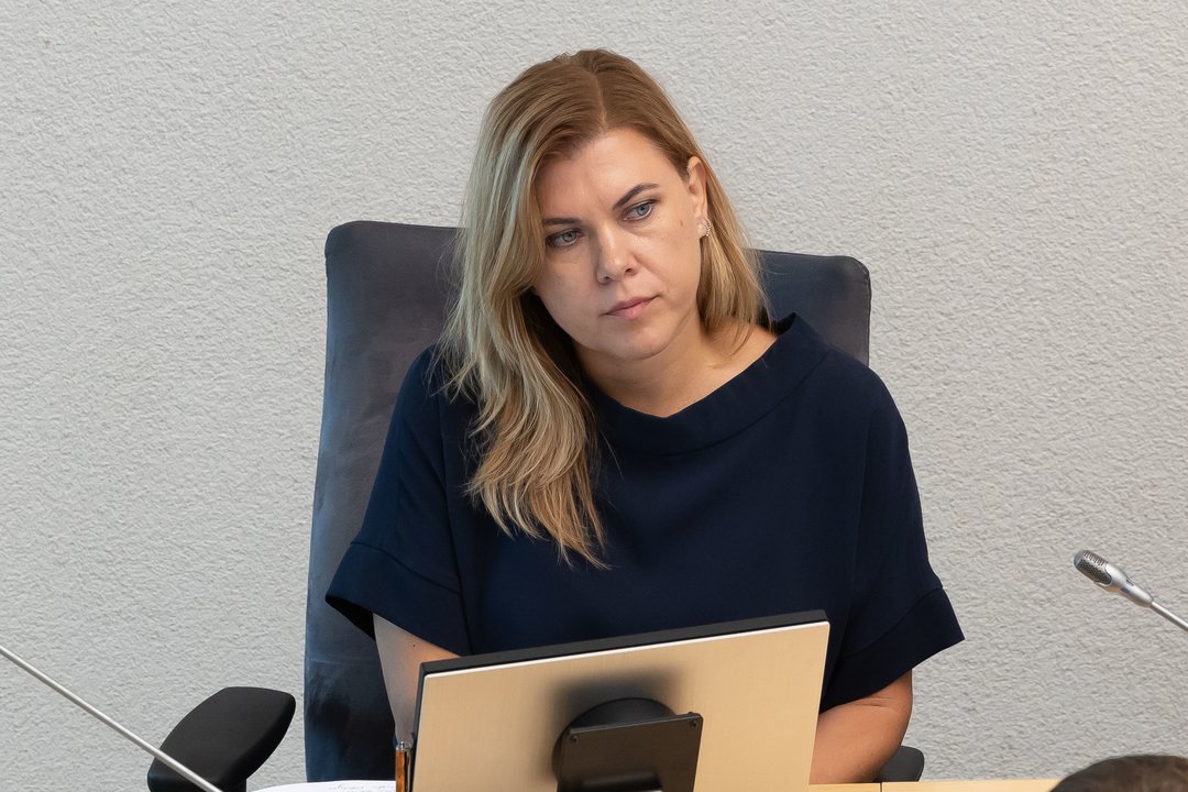 I. Andriulaitytė: palaikyčiau idėją riboti plynuosius kirtimus, jei būtų numatytos kompensacijos