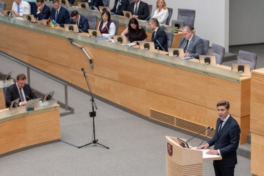 „M. Sinkevičiui būtų geriau, kad to nepastebėtume“: užsiminė, kuo šios Vyriausybės pradžia kitokia nei I. Ruginienės