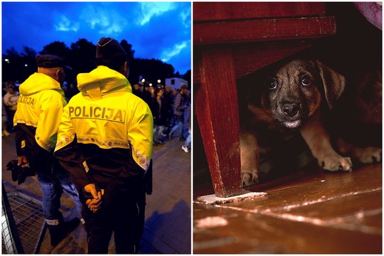 Latviją sukrėtus zoofilijos skandalui – svarbi Lietuvos gyvūnų gelbėtojų žinia