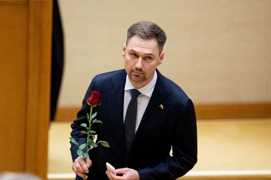 D. Griškevičius tapo pirmuoju Seimo pirmininko pavaduotoju