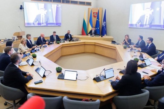 A. Širinskienė, K. Vilkauskas, S. Gentvilas: nauji ministrai – politiniai netyčiukai?