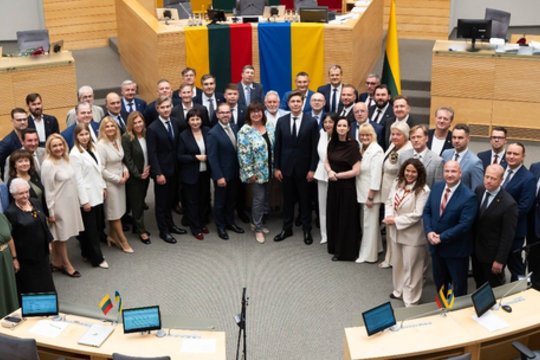 Politologė nemano, kad turėsime Vyriausybės krizę: visgi ši situacija atskleidė daug spragų