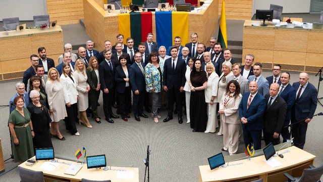 Politologė nemano, kad turėsime Vyriausybės krizę: visgi ši situacija atskleidė daug spragų